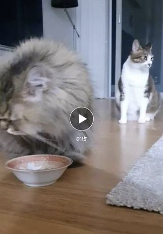 빈님이 올린 리뷰 사진 3