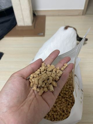 버진플래닛코리아 버진플래닛 고양이 화장실 우드 펠렛 모래 배변 펠릿 — 4.5점을 준 리뷰어가 2023년 2월 올린 사용 사진