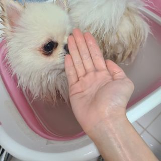 유화님이 올린 리뷰 사진 3