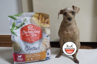 치킨수프 클래식 독 2.04KG — 5점을 준 리뷰어가 2021년 6월 올린 사용 사진