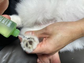 이제트님이 올린 리뷰 사진 3