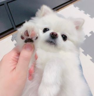 순덕아맘마먹자님이 올린 리뷰 사진 3