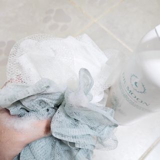 [닥터문] 센텔라 시카케어 화이트머스크 바디워시 1000ml — 5점을 준 리뷰어가 2024년 8월 올린 사용 사진