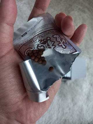 블링여니님이 올린 리뷰 사진 4