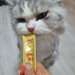 페페로니 잘 먹는 캣츄 - 무항생제 닭고기 24개입 — 5점을 준 리뷰어가 2021년 7월 올린 사용 사진
