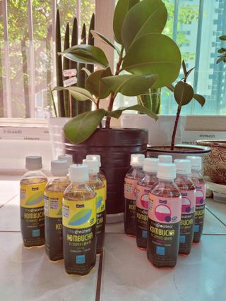 더그레잇티 콤부차 [매일유업] 더그레잇티 44kcal 콤부차 300ml *12개입 (오리지널 6개+베리리치 6개) — 5점을 준 리뷰어가 2023년 7월 올린 사용 사진