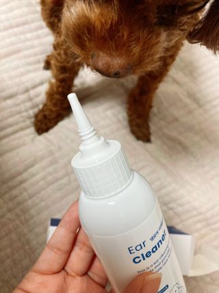 [댕모어 클리너 3종] 아이클리너 / 이어클리너 / 덴탈클리너 3종 세트 (120ml) — 5점을 준 리뷰어가 2023년 10월 올린 사용 사진