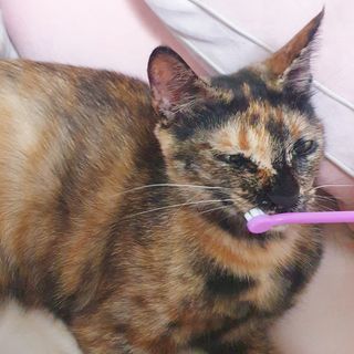 JENNY님이 올린 리뷰 사진 3
