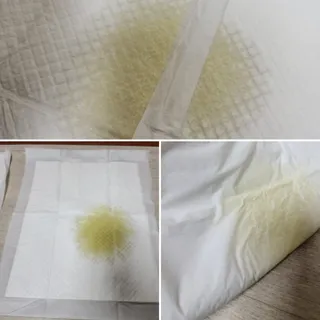 우기기우기님이 올린 리뷰 사진 3