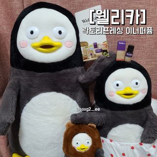 그므시라꼬님님이 올린 리뷰 사진 1