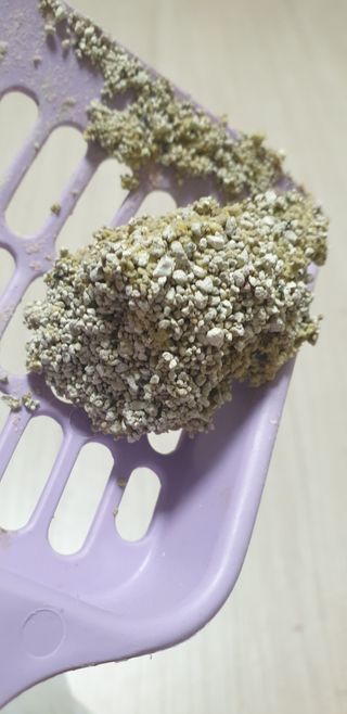 겟플렉스 켓플렉스 캣츠룸BS-1 고양이모래 4kg — 4점을 준 리뷰어가 2021년 1월 올린 사용 사진