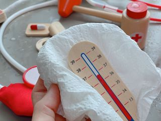 에티튜드 천연 장난감 클리너 (토이 클리너) — 5점을 준 리뷰어가 2022년 9월 올린 사용 사진
