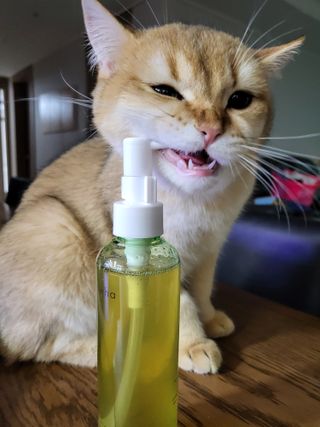 스킨큐어 산다화 순한 클렌징 동백 오일 200ml — 5점을 준 리뷰어가 2023년 5월 올린 사용 사진