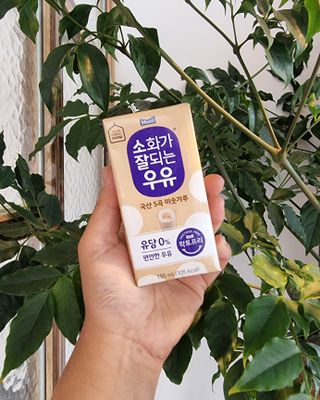 소화가 잘되는 우유 국산 5곡 미숫가루 — 5점을 준 리뷰어가 2021년 9월 올린 사용 사진