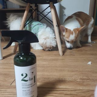 샤넬젤라님이 올린 리뷰 사진 1