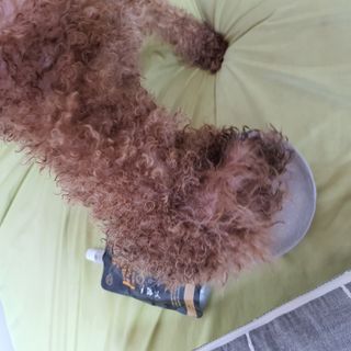 제이드님이 올린 리뷰 사진 1