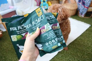 [푸디웜] 라포그  리얼인섹트 웨이트밸런스 저알러지 강아지 사료  1.2KG — 4.5점을 준 리뷰어가 2022년 6월 올린 사용 사진