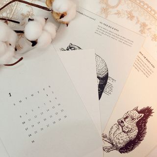 봄씨님이 올린 리뷰 사진 2