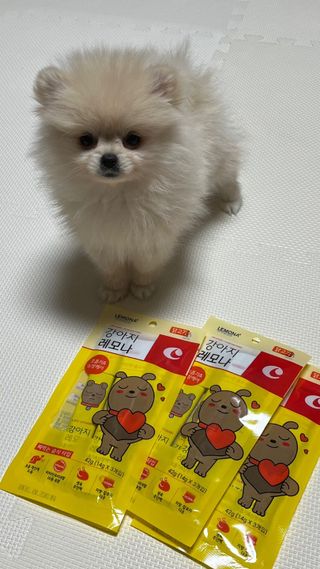 제리님이 올린 리뷰 사진 3