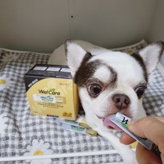 mini unni님이 올린 리뷰 사진 4