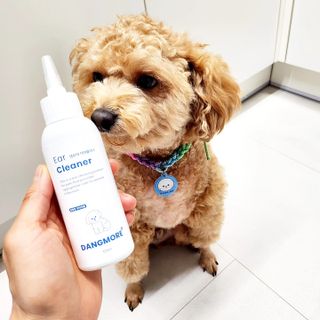 [댕모어 클리너 3종] 아이클리너 / 이어클리너 / 덴탈클리너 3종 세트 (120ml) — 5점을 준 리뷰어가 2023년 10월 올린 사용 사진