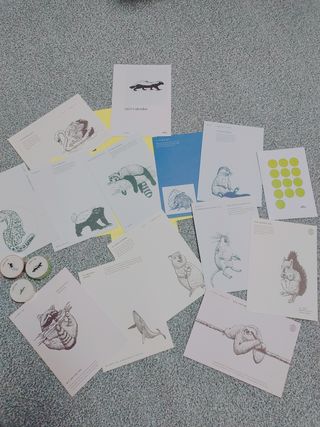 콜린스 2021 엽서 캘린더와 마스킹 테이프 3종 — 5점을 준 리뷰어가 2020년 12월 올린 사용 사진