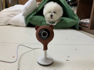 bae님이 올린 리뷰 사진 2