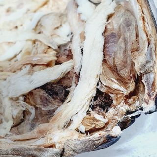 [오늘바스켓] 용대리 손질하늘태 130g — 5점을 준 리뷰어가 2021년 5월 올린 사용 사진