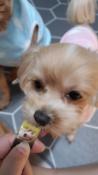 모떼네님이 올린 리뷰 사진 3