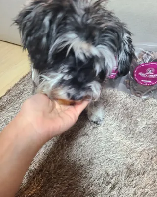 타리아가씨님이 올린 리뷰 사진 4