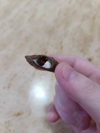 쏘쏘홀릭님이 올린 리뷰 사진 4