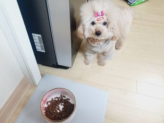 [풀무원아미오] 건강담은식단 1kg 3종 — 5점을 준 리뷰어가 2021년 2월 올린 사용 사진