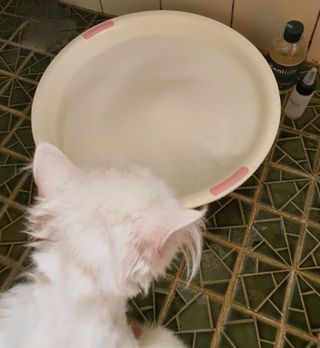 씨고님이 올린 리뷰 사진 4