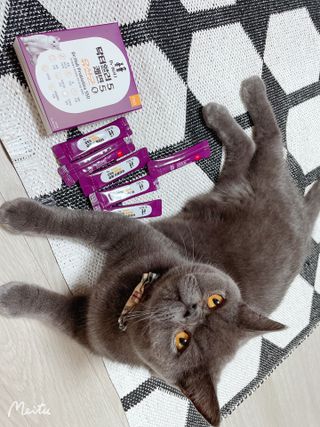 sehee님이 올린 리뷰 사진 4