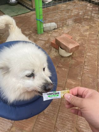 예비시우맘🫶님이 올린 리뷰 사진 1