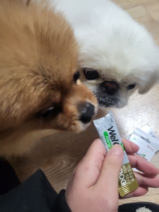 ruler.zero님이 올린 리뷰 사진 3