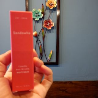 스킨큐어 산다화 카멜리아 안티 링클 멀티밤 — 5점을 준 리뷰어가 2022년 11월 올린 사용 사진