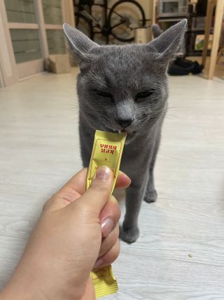 여온님이 올린 리뷰 사진 3