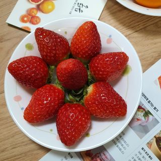 옳음 딸기 논산 설향 딸기 900g 산지직송 — 5점을 준 리뷰어가 2021년 1월 올린 사용 사진
