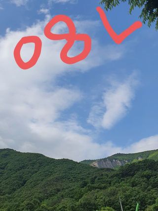 0.8L 마케팅팀 - — 5점을 준 리뷰어가 2021년 5월 올린 사용 사진