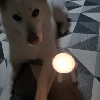 딸랑구둘🥰님이 올린 리뷰 사진 2