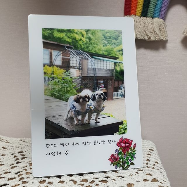 100가지 기념액자 리뷰 사진
