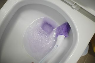 말라님이 올린 리뷰 사진 3