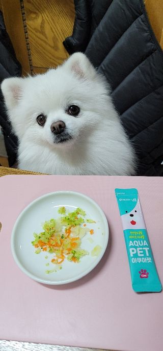 펫시랩 반려견용 액상 프리바이오틱스 아쿠아펫 — 5점을 준 리뷰어가 2021년 1월 올린 사용 사진