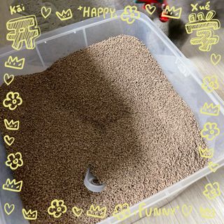 sehee님이 올린 리뷰 사진 3