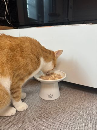 민채님이 올린 리뷰 사진 3