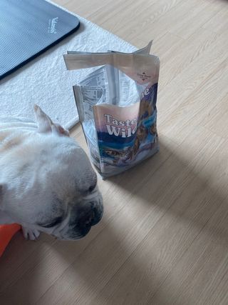 이샤르르님이 올린 리뷰 사진 3