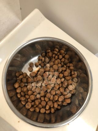 여름님이 올린 리뷰 사진 3