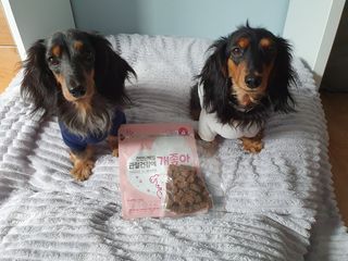 My Pet Care 천연단백질 관절건강에 개좋아 — 4.5점을 준 리뷰어가 2021년 3월 올린 사용 사진