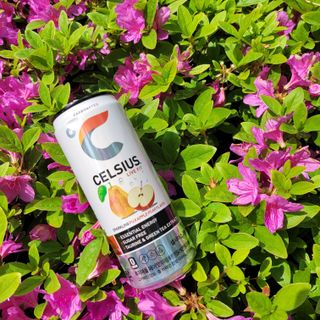 셀시어스 오리지널 325ml 에너지 비타민 피트니스 드링크(24can) 다이어트 음료 — 5점을 준 리뷰어가 2022년 5월 올린 사용 사진